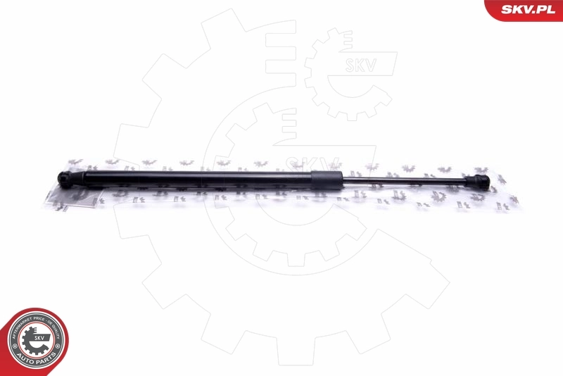 Gas Spring, boot/cargo area